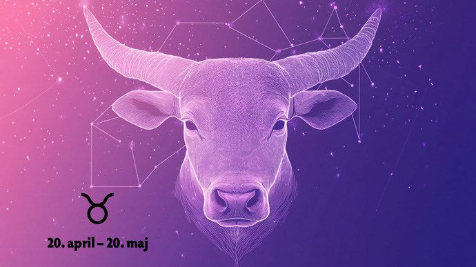 oxen